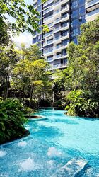 The Clement Canopy (D5), Apartment #594160041